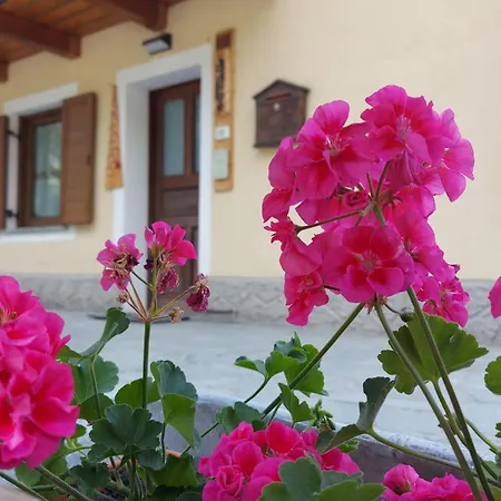 Διαμέρισμα Cav Mes Vallees Vda Torgnon